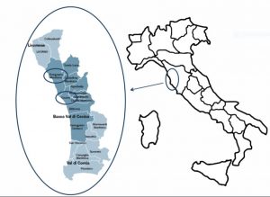 referto epidemiologico rosignano