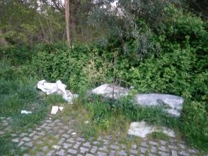 IMG_20170408_200308