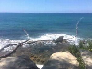 IMG-20180723-WA0037